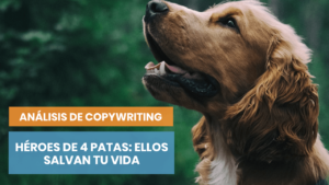 Análisis de copywriting de héroes de 4 patas