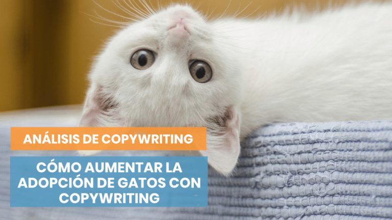 Cómo impulsar la adopción de gatos con copywriting