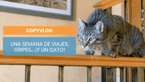 Un viaje emprendedor