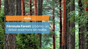 Guía de la Fórmula Forest