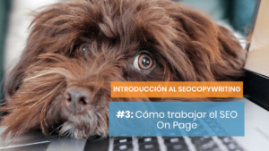 Cómo trabajar el SEO On Page