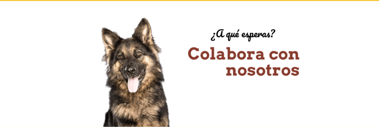 Amigos del perro: copywriting más allá del dinero