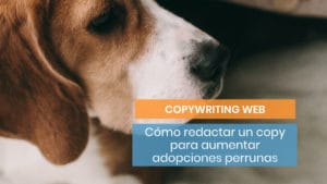Copy para perros