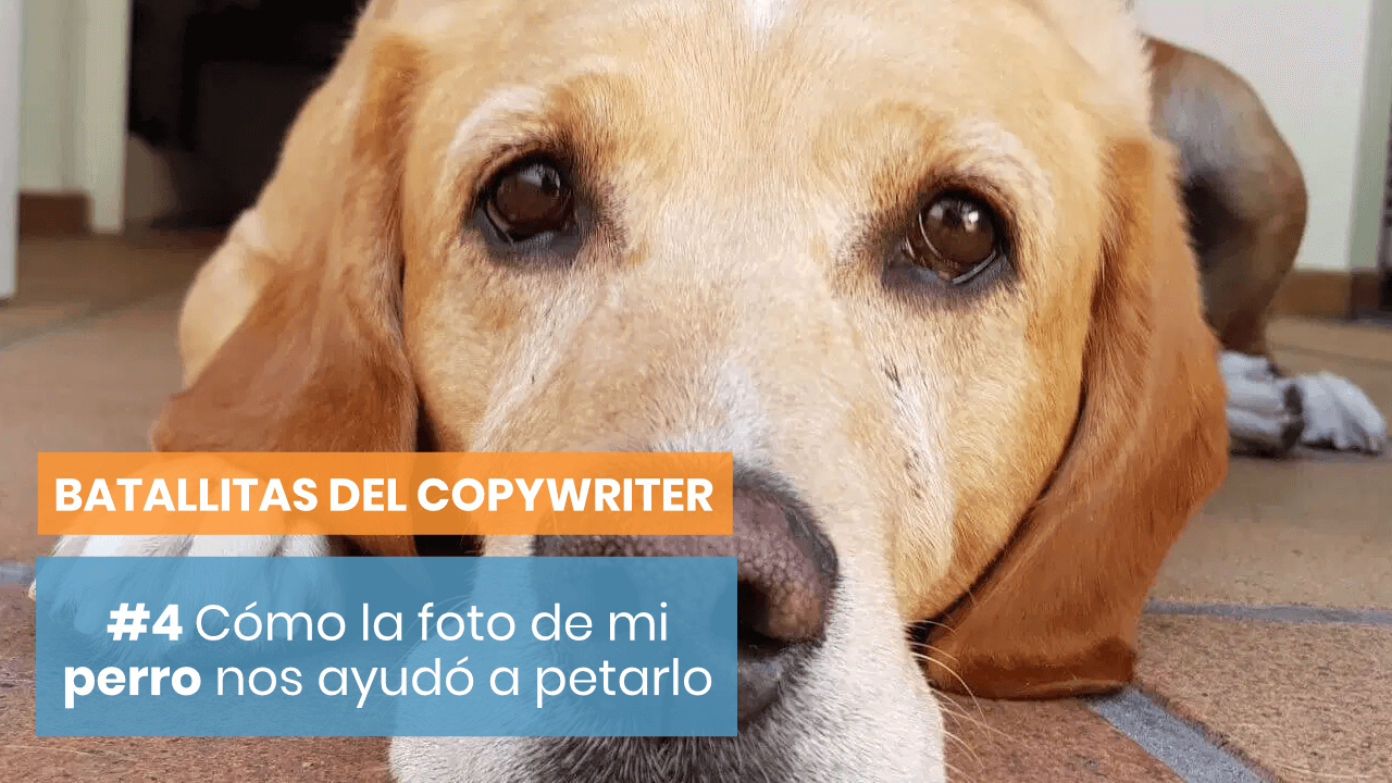 Batallitas del copywriter con un perro