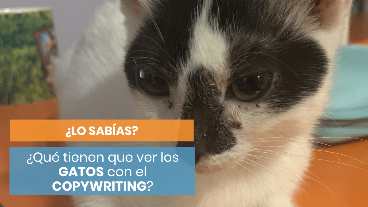 Gatos y copywriting
