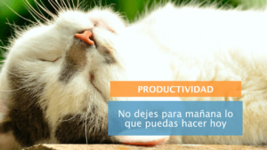 No dejes para mañana lo que puedas hacer hoy