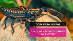 Lecciones de venta de escorpiones
